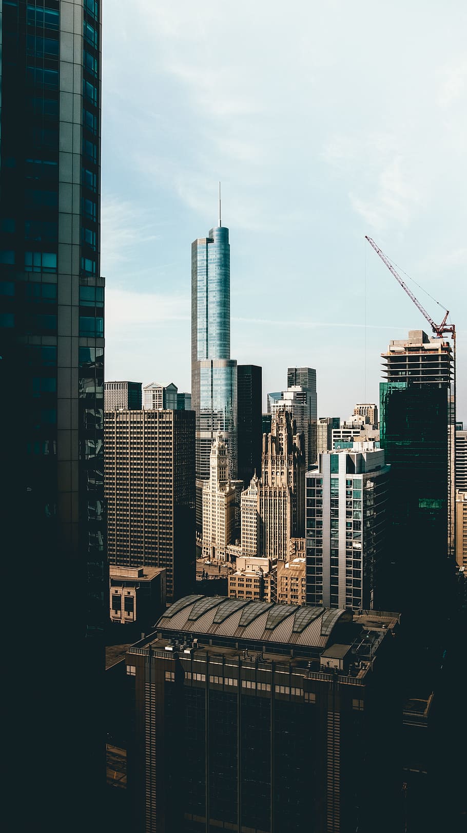 city building, top view photo of city during daytime, green, gray HD wallpaper