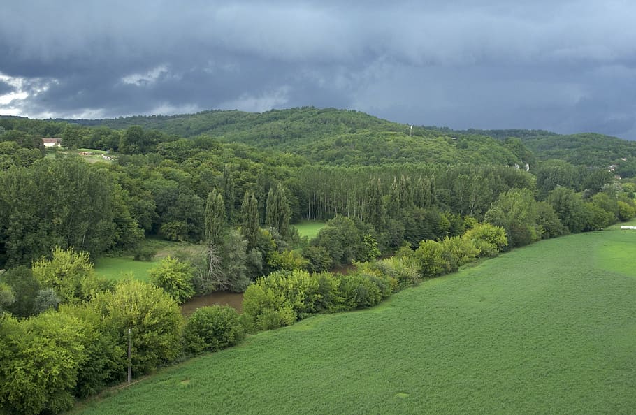 storm clouds, forest, trees, field, plants, woods, landscape HD wallpaper