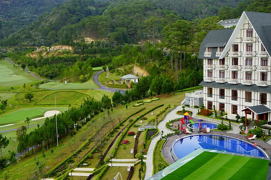 green trees, da lat, vietnam, sweet bell resort hotel, goft, hill, HD wallpaper
