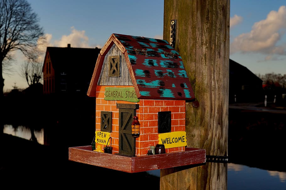 cottage, bird, small, cute, mood, sunset, architecture, house HD wallpaper