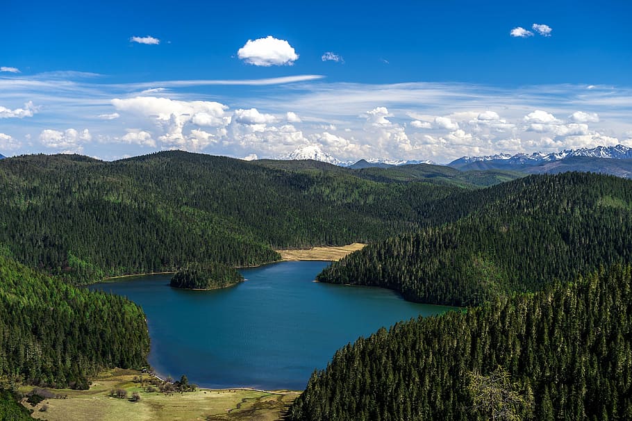 blue sky, lake, forest, scenics - nature, water, environment HD wallpaper