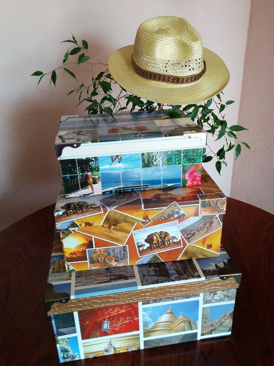 boxes, travel, hat, table, indoors, plant, no people, still life HD wallpaper