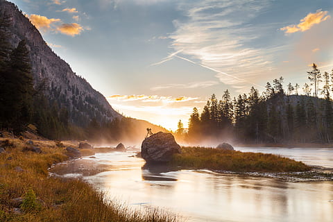 lake photography during daytime, river near trees beside mountain during daytime HD wallpaper
