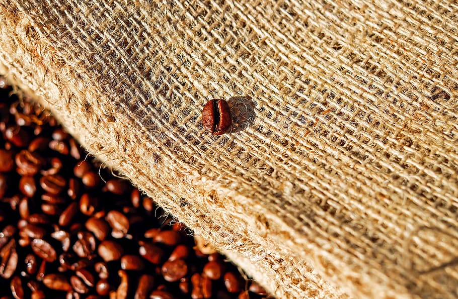 bunch of coffee beans, roasting, aroma, caffeine, no people HD wallpaper