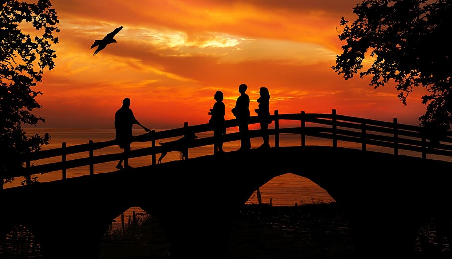 silhouette of people standing on bridge during sunset, bird HD wallpaper