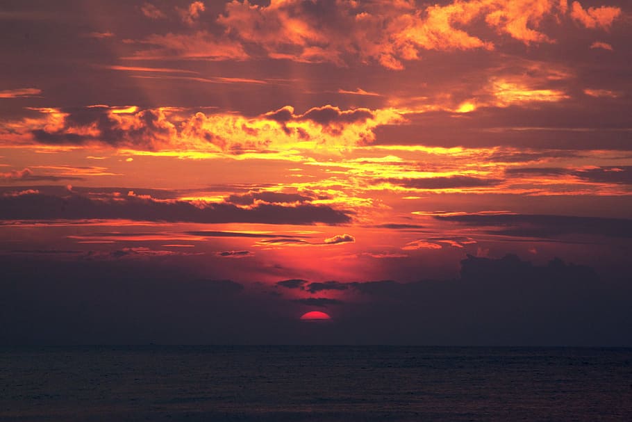 photo of sea during golden hour, person, taking, sunset, period HD wallpaper