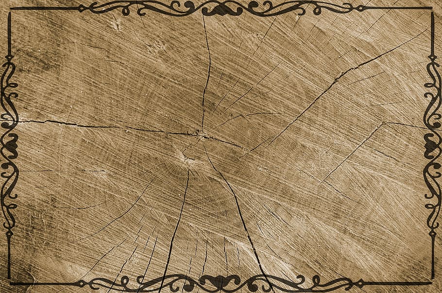 rectangular brown wooden photo frame, tree, texture, grain, log, HD wallpaper