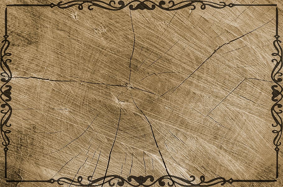 rectangular brown wooden photo frame, tree, texture, grain HD wallpaper