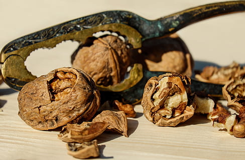 close up photo of walnuts, brown, fruit bowl, food, healthy HD wallpaper