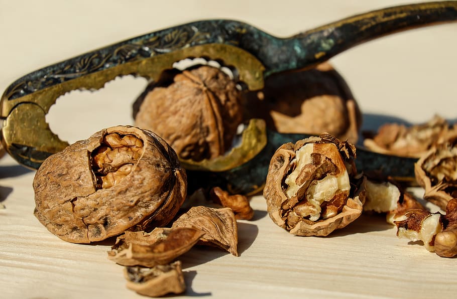 close up photo of walnuts, brown, fruit bowl, food, healthy, nutcracker, HD wallpaper