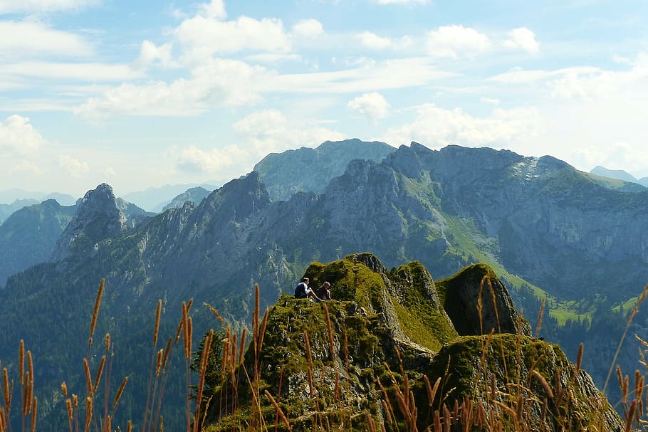 branderschrofen, east summit, blades of grass, kenzengebirge, HD wallpaper