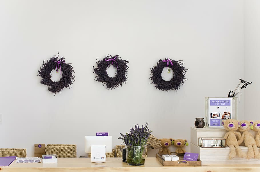 bear plush toys near vase, three, purple, fur, wreaths, wall HD wallpaper