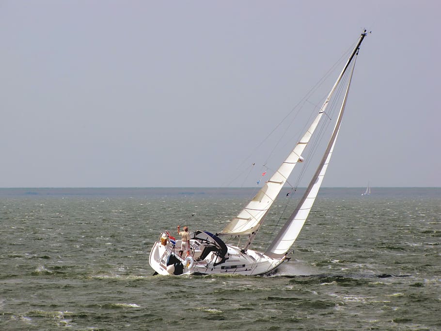 Sailing Boat, Solo Sailor, horizon, offing, ijsselmeer, wind, HD wallpaper