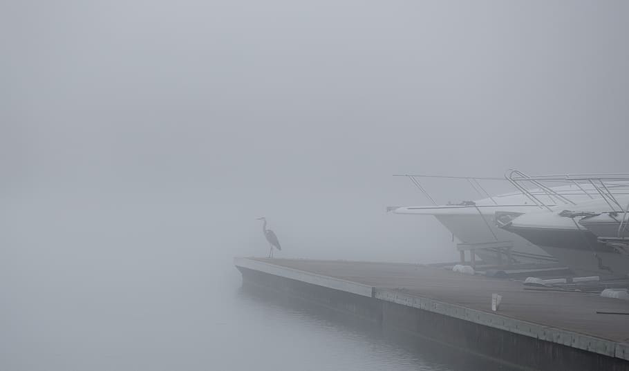 crane, mist, bridge, archipelago, boat, pleasure boat, sweden HD wallpaper