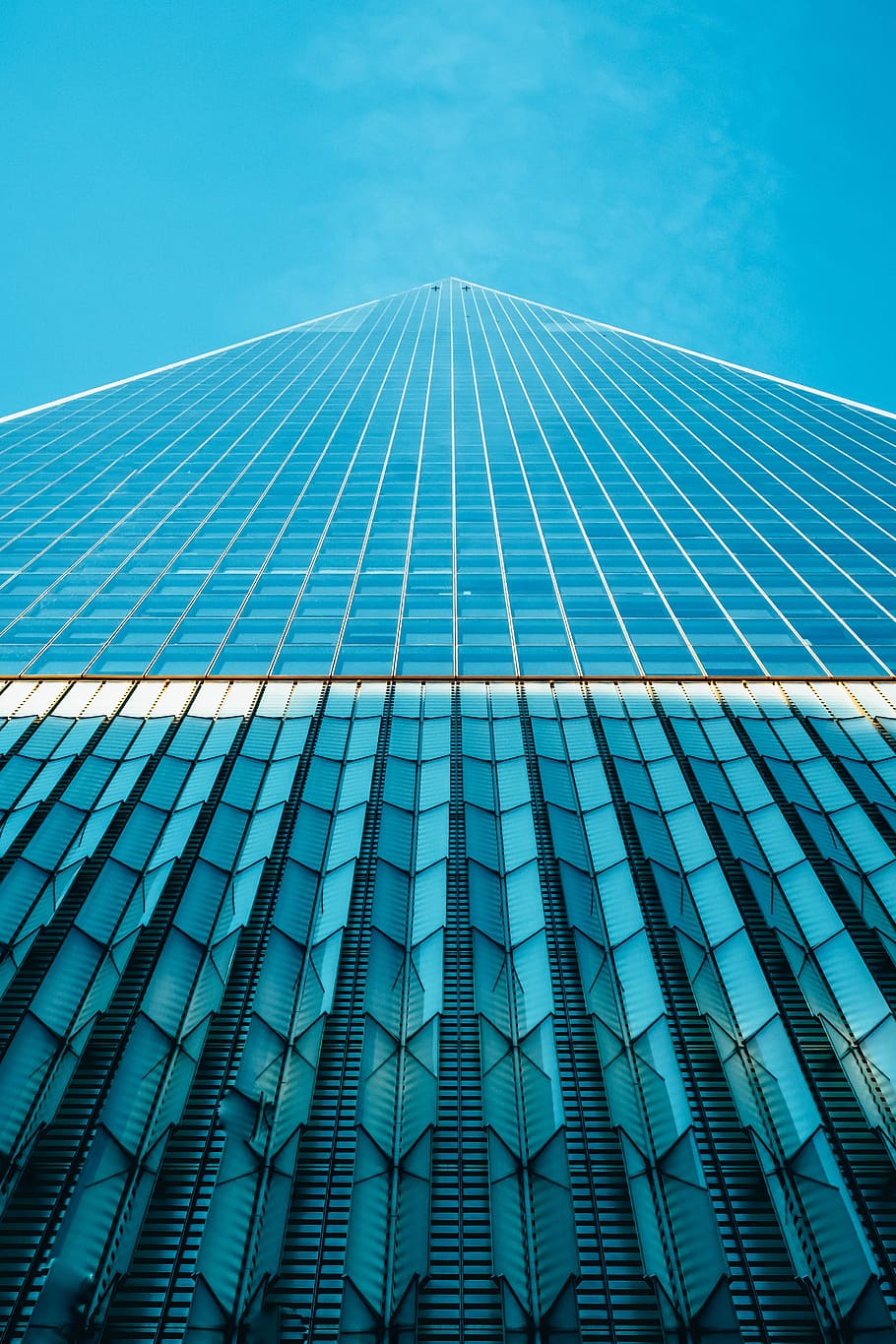 worm's eye view of glass buildings, worm view of white and blue high-rise building HD wallpaper