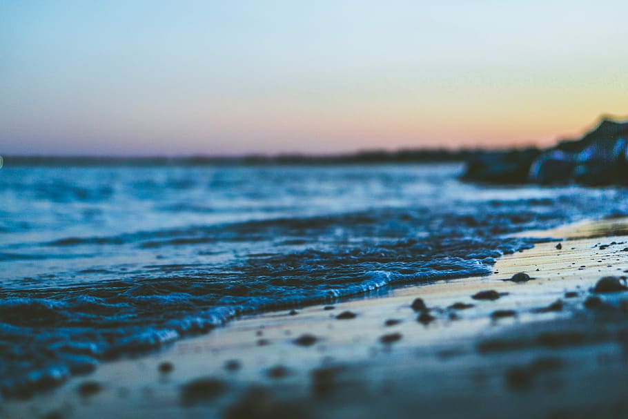 shallow focus photography of seashore, macro shot of seashore HD wallpaper