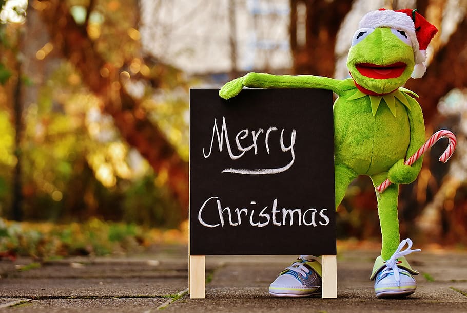 kermit, frog, christmas, santa hat, cute, funny, christmas time HD wallpaper