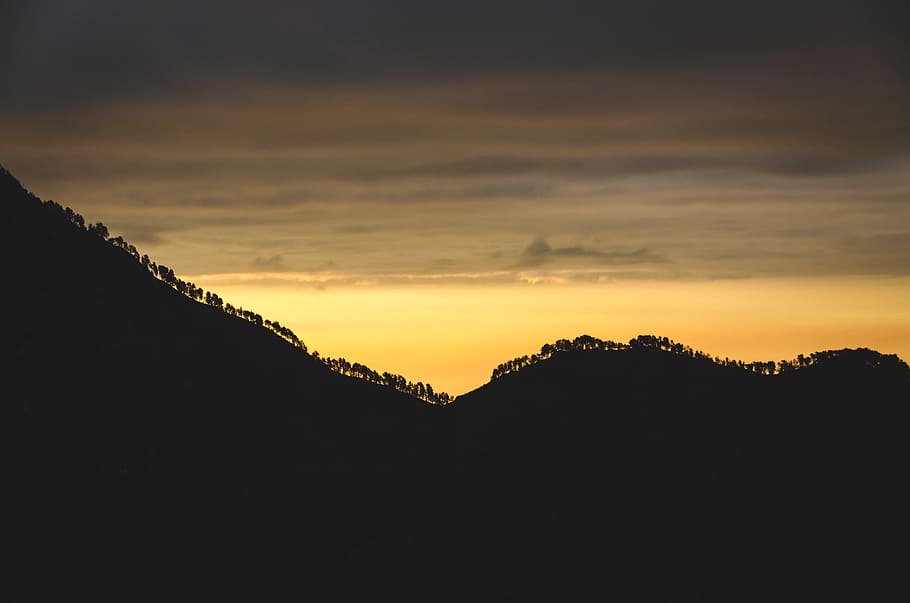 silhouette of mountain with trees, silhouette of trees on mountain HD wallpaper