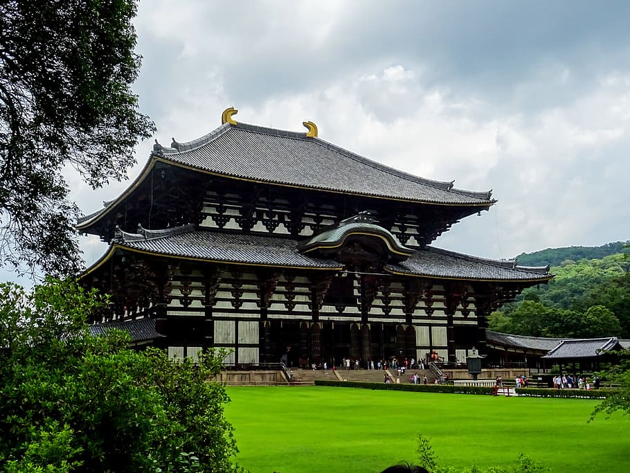 gray high rise temple, todai-ji temple, nara, japan, wood, japanese