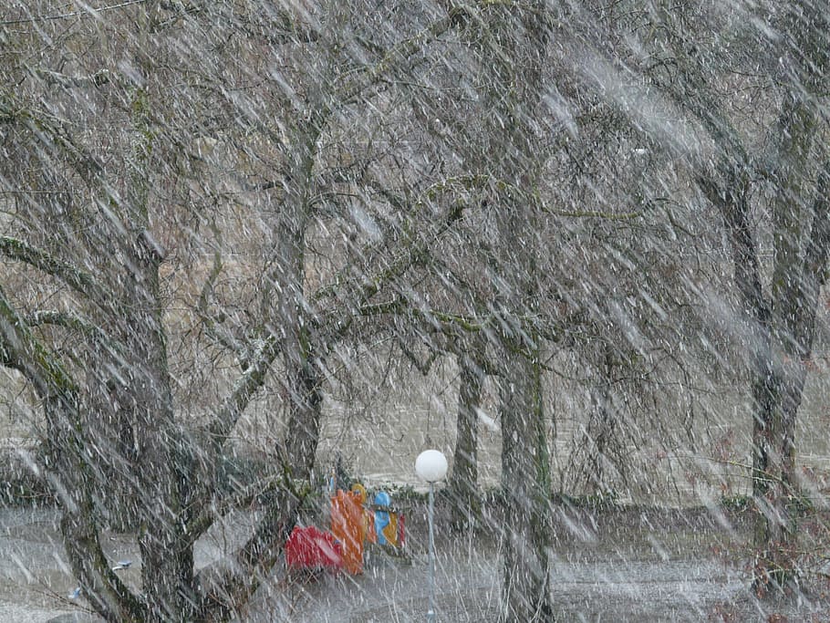 snowfall, snowflakes, blizzard, winter, winter dream, cold HD wallpaper