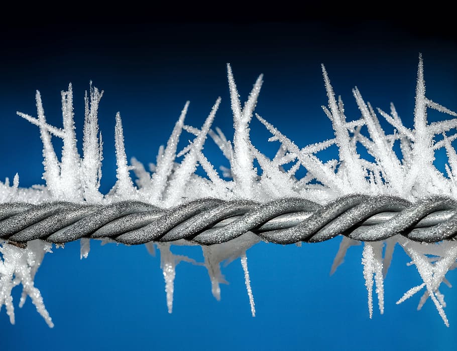 gray steel barb wire covered in ice, winter, blue, cold, metal HD wallpaper