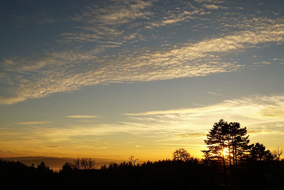 Sunset, Evening, Clouds, evening sky, silhouette, tree, nature HD wallpaper