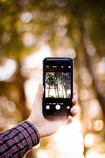 boke photography of person holding iPhone 6 displaying trees HD wallpaper