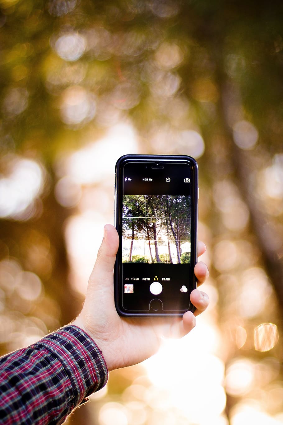 boke photography of person holding iPhone 6 displaying trees HD wallpaper