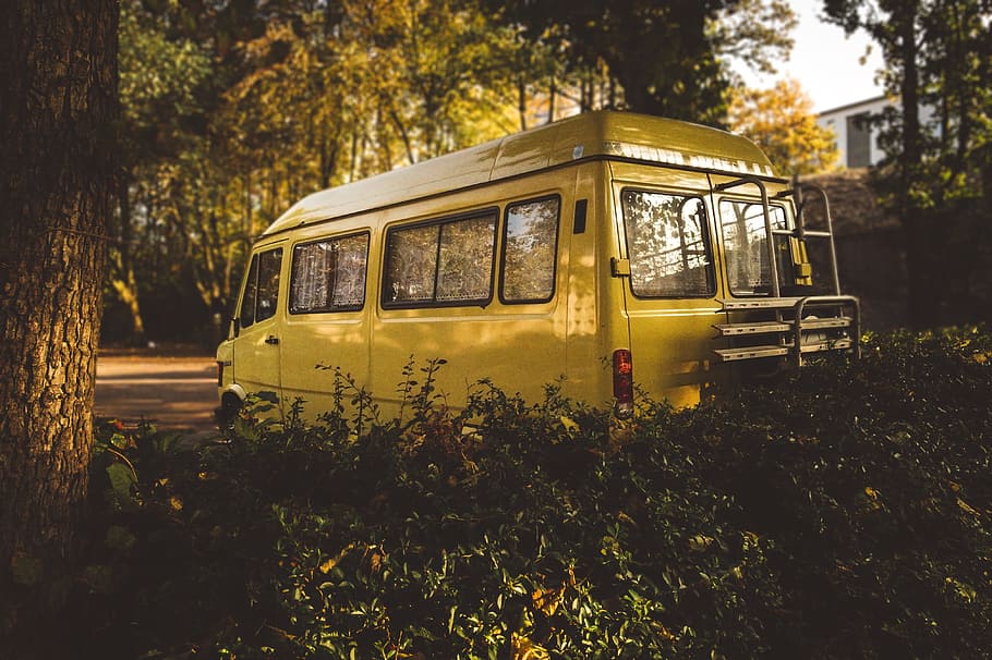 yellow van under the tree, selective focus photography of yellow van surrounded with trees HD wallpaper