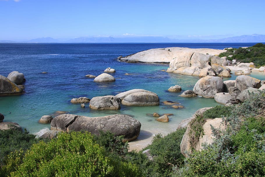 Bolder, Beach, Cape Town, Africa, bolder beach, rock - object, HD wallpaper