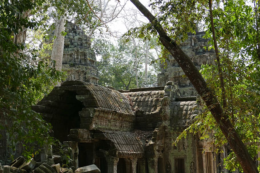 angkor, angkor wat, cambodia, temple, asia, temple complex, HD wallpaper