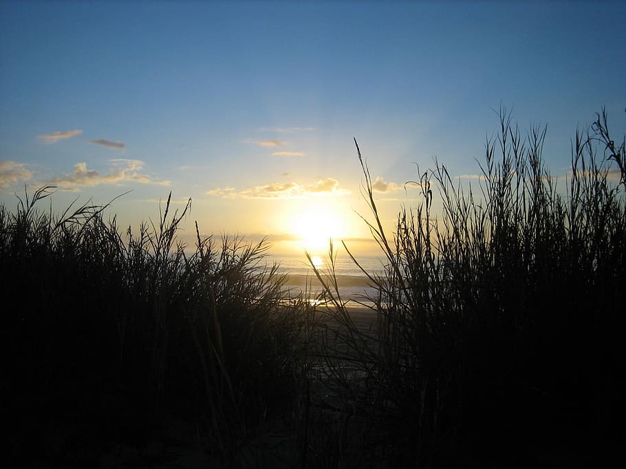 myrtle, beach, sunrise, sky, sunset, beauty in nature, tranquility HD wallpaper
