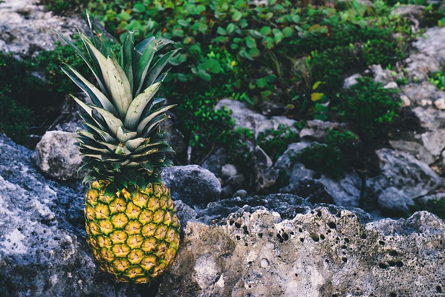 pineapple, dessert, appetizer, fruit, juice, crop, rock, healthy eating HD wallpaper
