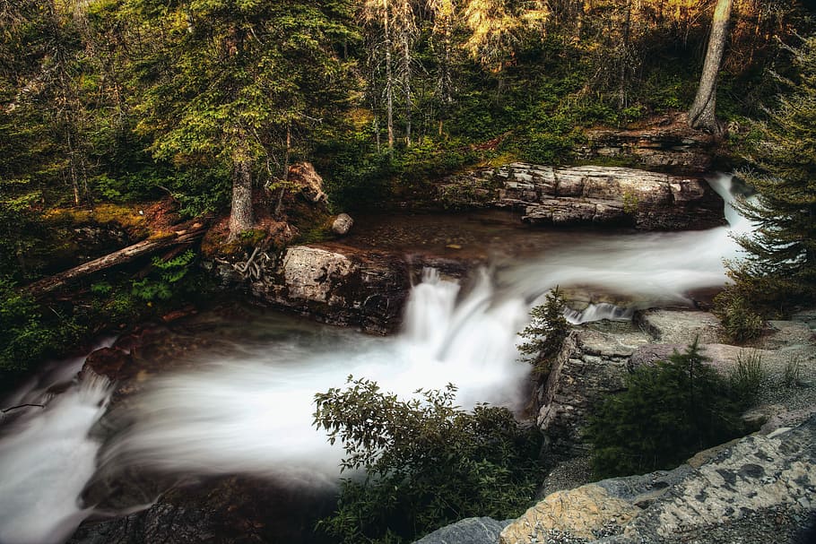 time-lapse photography of waterfall at the jungle, waterfalls in the forest during daytime HD wallpaper