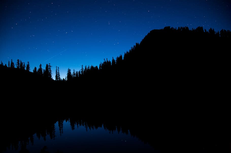 calm body of water reflecting trees, silhouette photo of mountain tree HD wallpaper