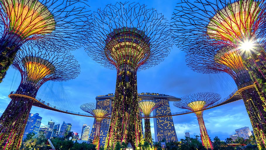 low angle view photography of Gardens By The Bay, tree, illuminated, HD wallpaper