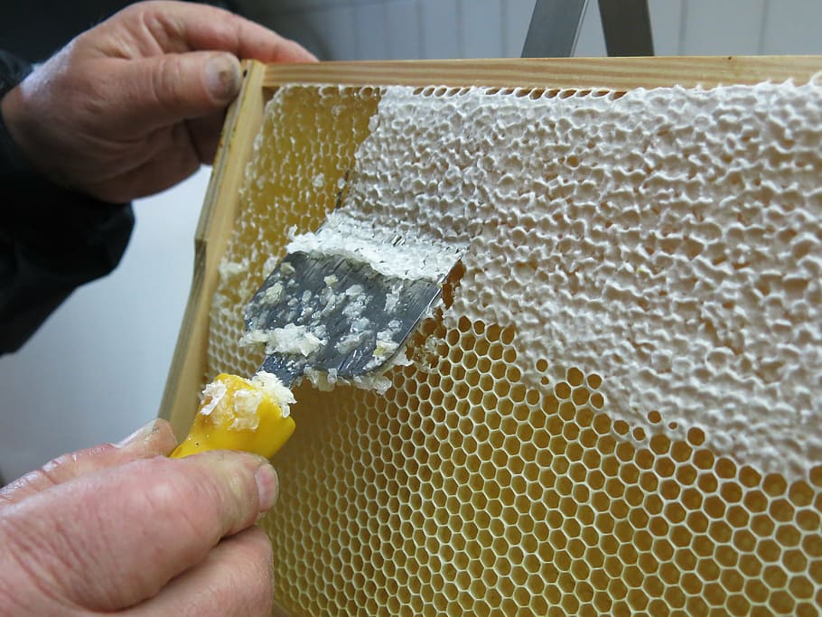 person scrapping beehive, honey, honeycomb, uncapping, frames