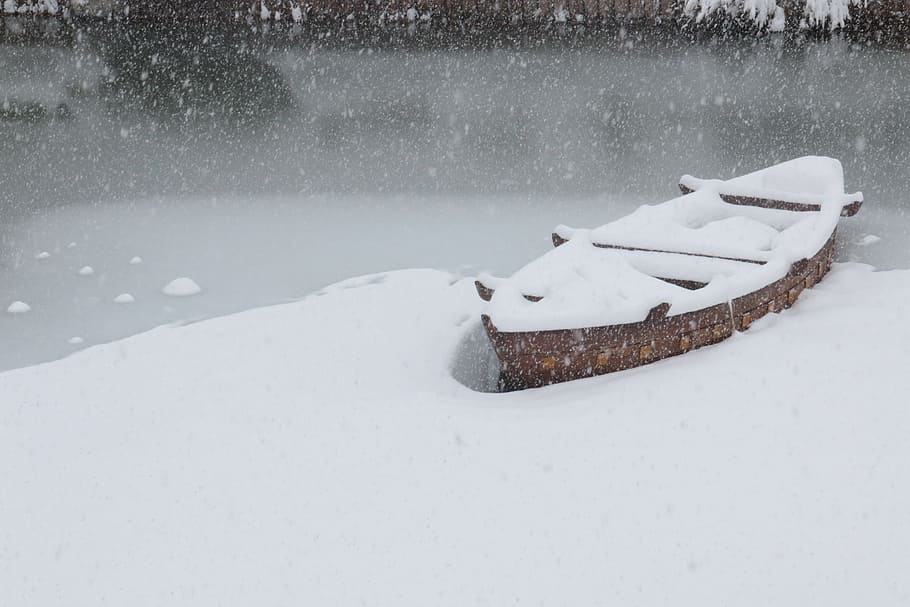 snow, winter, ice, cold, frozen, frost, snowstorm, snow-white HD wallpaper