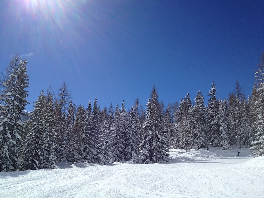 ski, snow, sun, winter, landscape, mountain, alps, snowy, cold temperature HD wallpaper