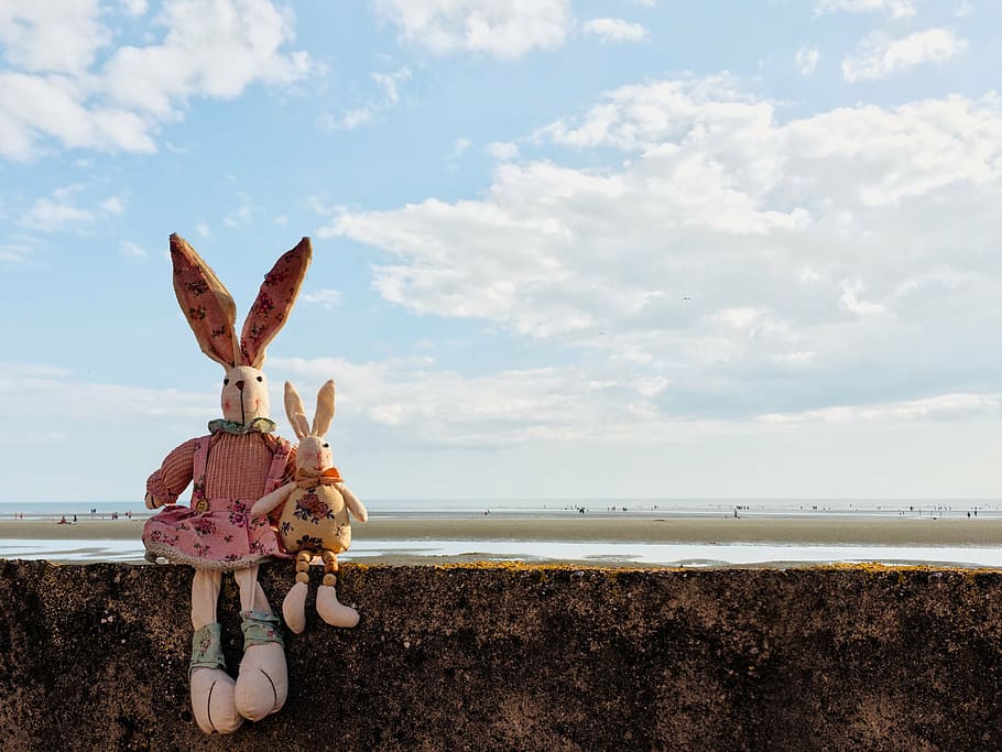 two rabbit plush toys on wall, rabbits, clouds, beach, easter HD wallpaper