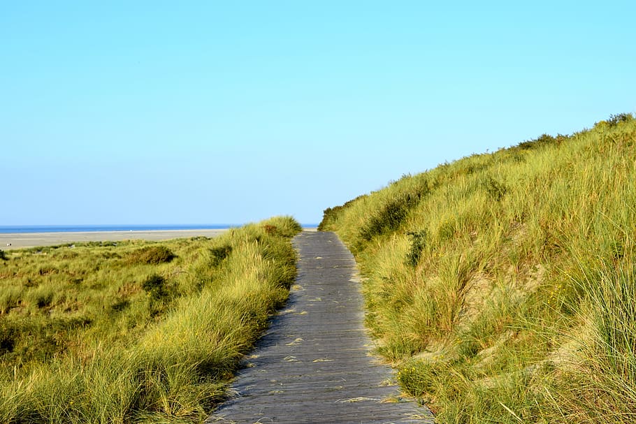 Borkum, Cycle Path, Trail, Away, Dunes, sea, sky, go for a walk HD wallpaper