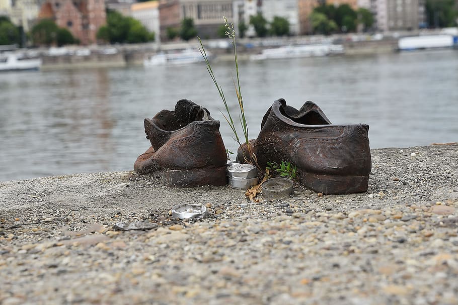 brown leather shoes on curb near wet road at daytime, danube