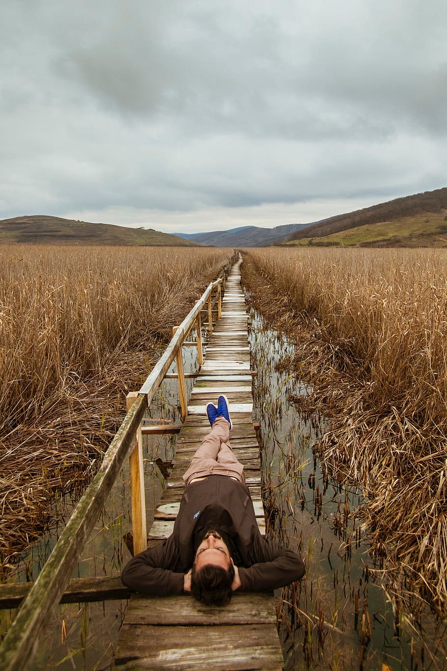 wooden, bridge, path, grass, agriculture, plant, field, farm HD wallpaper