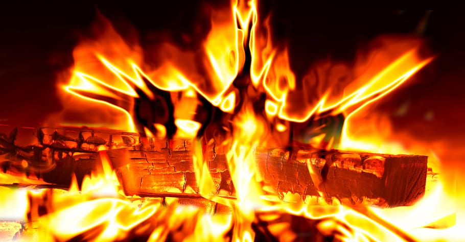 photo showing burning wood, fire, flame, heat, log, brand, blaze HD wallpaper