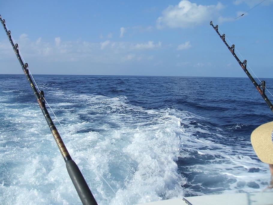 HD wallpaper: two black fishing rods, deep sea fishing, hawaii
