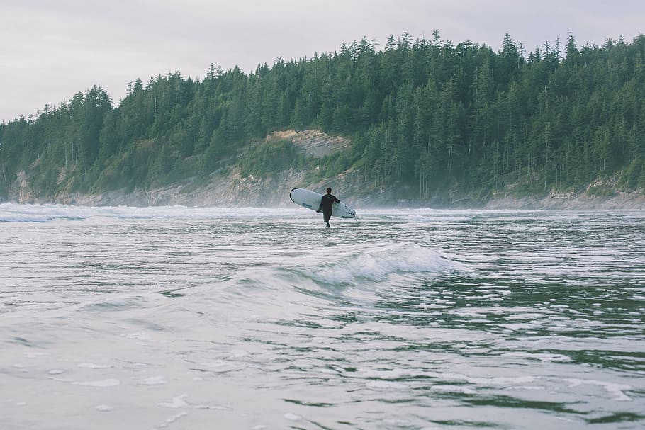 man holding surfboard walking on beach, ocean, surfer, pine trees HD wallpaper