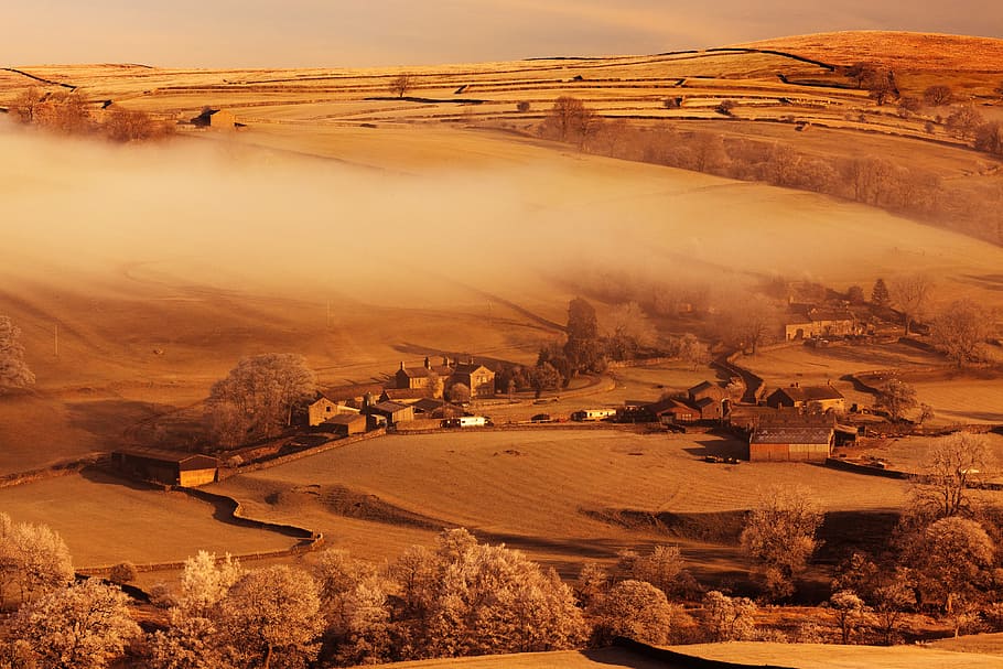 cloud, dawn, early, fog, foggy, hill, hills, land, landscape HD wallpaper