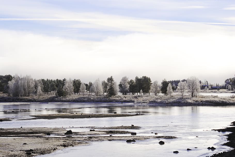 frost, river, autumn, tree, himmel, water, scenics - nature HD wallpaper