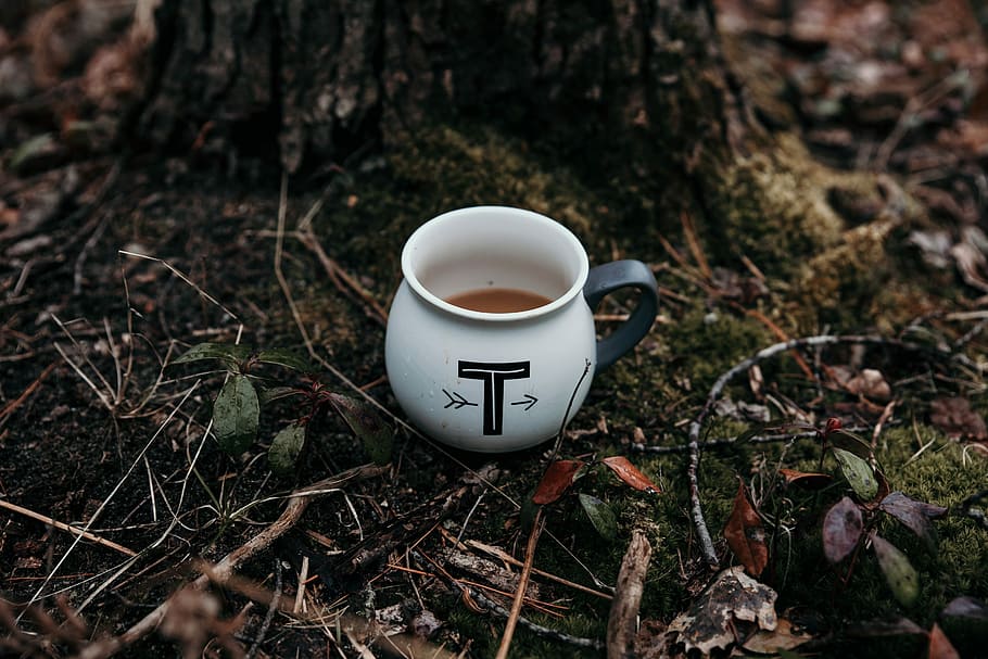 untitled, cup, drink, coffee, tea, tree, forest, floor, letter, HD wallpaper