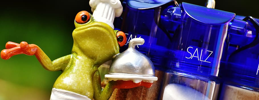 frog, cooking, spices, preparation, eat, ingredient, kitchen HD wallpaper
